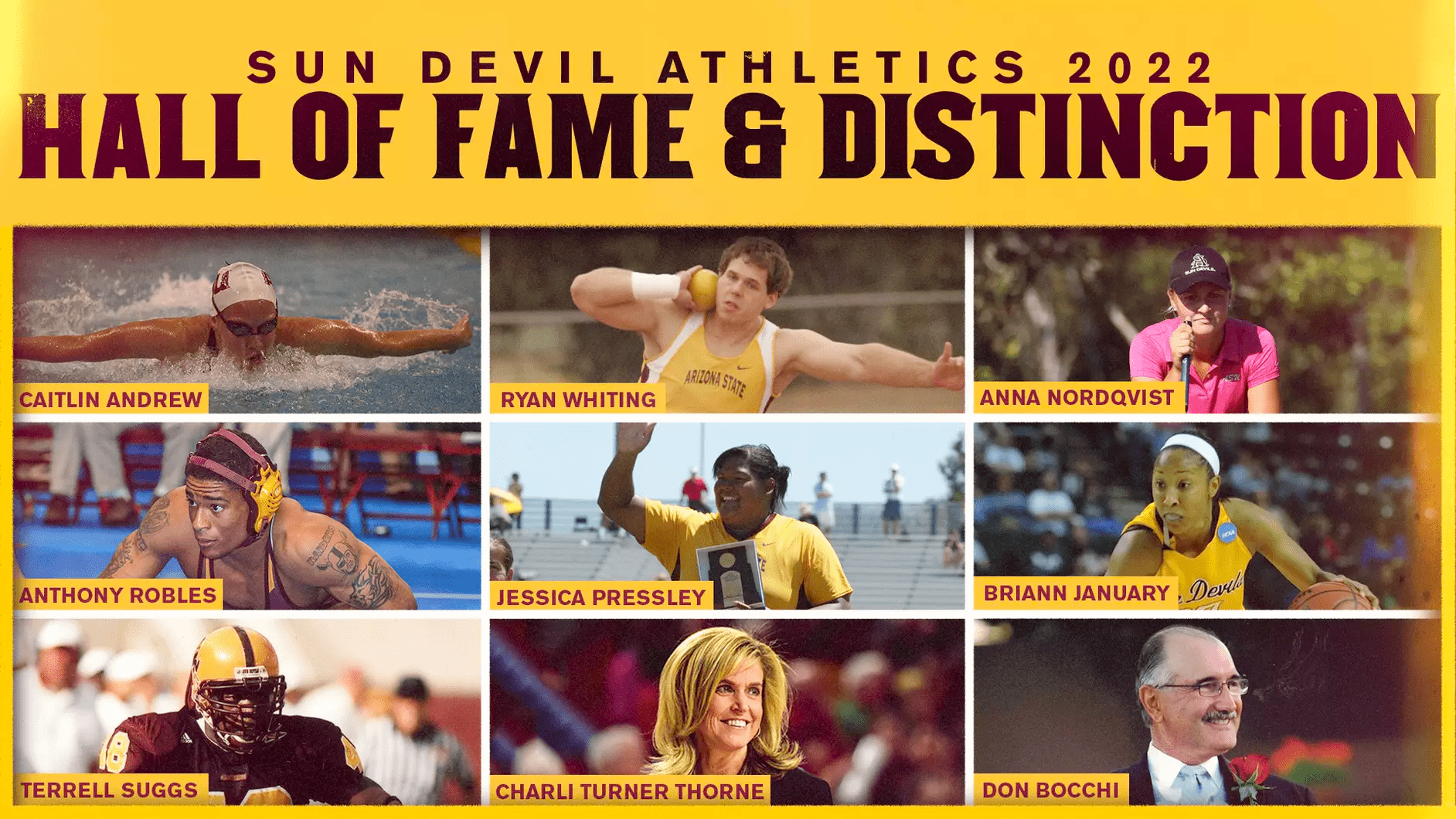 2022 Hall of Fame graphic